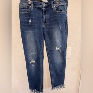 Free People Womens Size 28 Skinny Jeans Blue